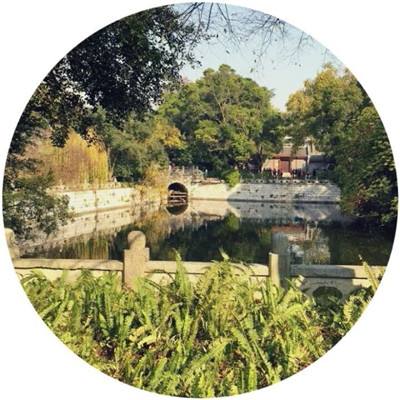 神灵竞技场游戏下载